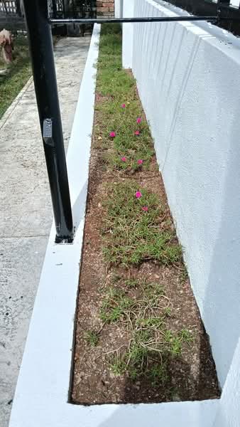 Semi-Detached House for Sale in Bandar Tasik Kesuma (Beranang) - Halim HP - Exterior - PropertyGuru.com.my