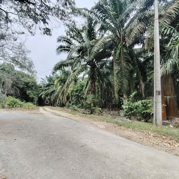 Agricultural Land for Sale in Sungai Tiram (Ulu Tiram) - Torow Yeow - Exterior - PropertyGuru.com.my