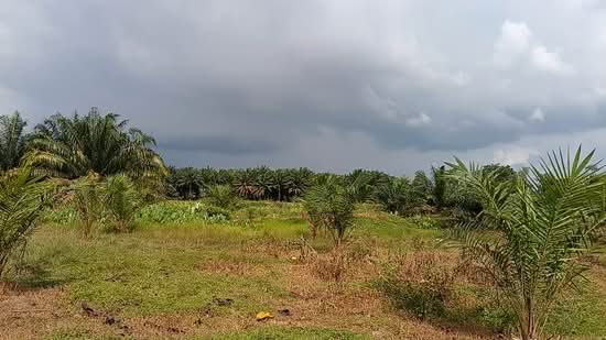 Felda Trolak Selatan untuk Untuk Dijual - RM 510,000, Apr 2026 - PropertyGuru.com.my