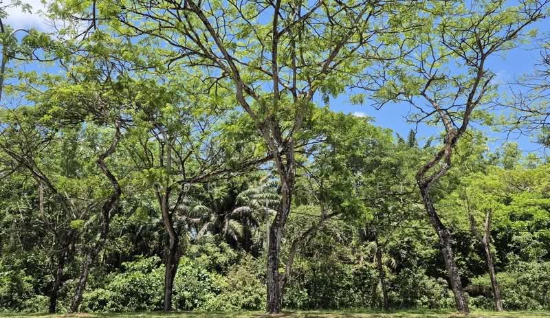 Apartment for Sale at The Seed Taman Sutera Utama - Boon Hau Lee - PropertyGuru.com.my