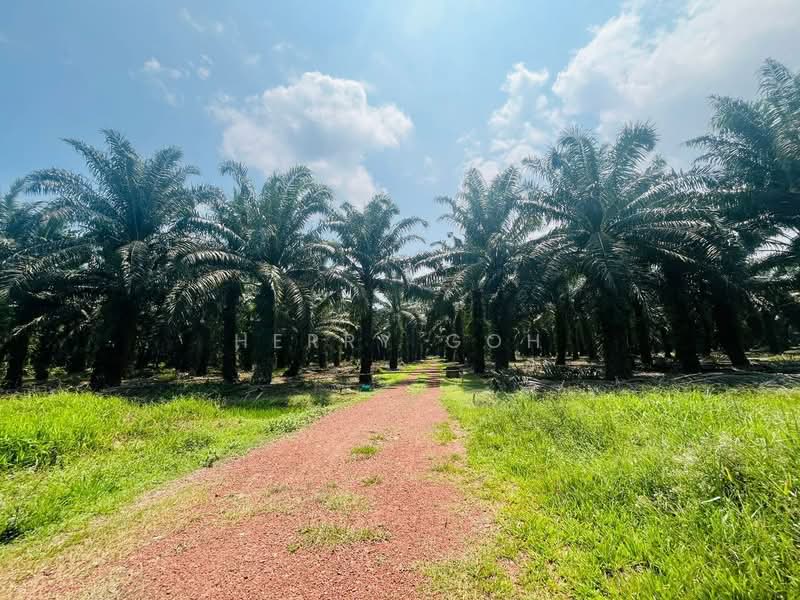 1-storey Terraced House for Sale in Johor Bahru (Johor) - Herry Goh - Exterior - PropertyGuru.com.my