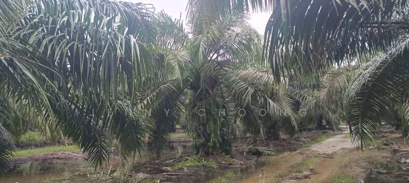 Bidor - Sungkai untuk Untuk Dijual - RM 7,168,000, Apr 2026 - PropertyGuru.com.my