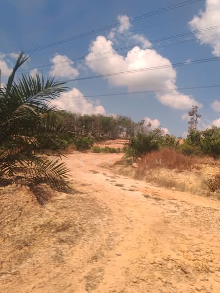 Tanah Pertanian untuk Dijual di Segamat (Johor) - Susan Lim - Exterior - PropertyGuru.com.my
