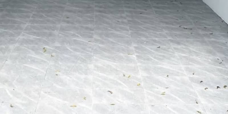 For Sale - Nusa Bayu