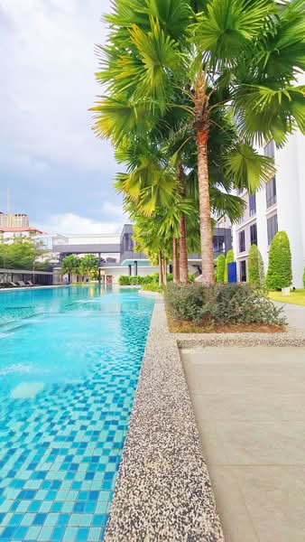 Service Residence for Sale at Veranda Residence - Gordon Chai - Swimming pool - PropertyGuru.com.my