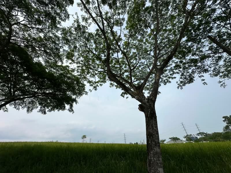 Residential Land for Sale in Leisure Farm (Gelang Patah) - Will Lee - Exterior - PropertyGuru.com.my