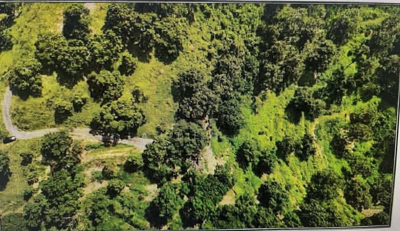 Agricultural Land for Sale in Kampung Minyak Beku (Senggarang) - Allen . - Exterior - PropertyGuru.com.my