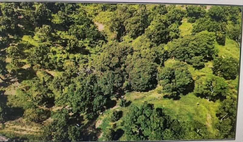 Agricultural Land for Sale in Kampung Minyak Beku (Senggarang) - Allen . - Exterior - PropertyGuru.com.my