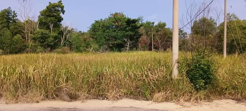 Residential Land for Sale in Taman Bandar Putra (Kuantan) - Shik . - Exterior - PropertyGuru.com.my