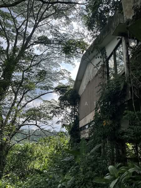 Rumah Banglo untuk Dijual di Bukit Tunku (Kenny Hills) (Kuala Lumpur) - Armin Latif - Exterior - PropertyGuru.com.my