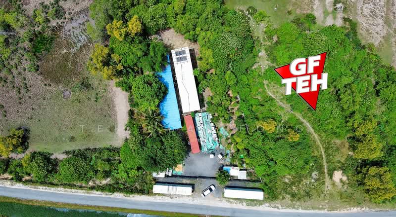 Tanah Pertanian untuk Dijual di Juru (Penang) - Teh Guan Fong - Exterior - PropertyGuru.com.my