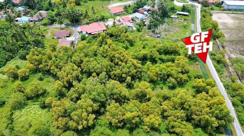 Tanah Pertanian untuk Dijual di Juru (Penang) - Teh Guan Fong - Exterior - PropertyGuru.com.my