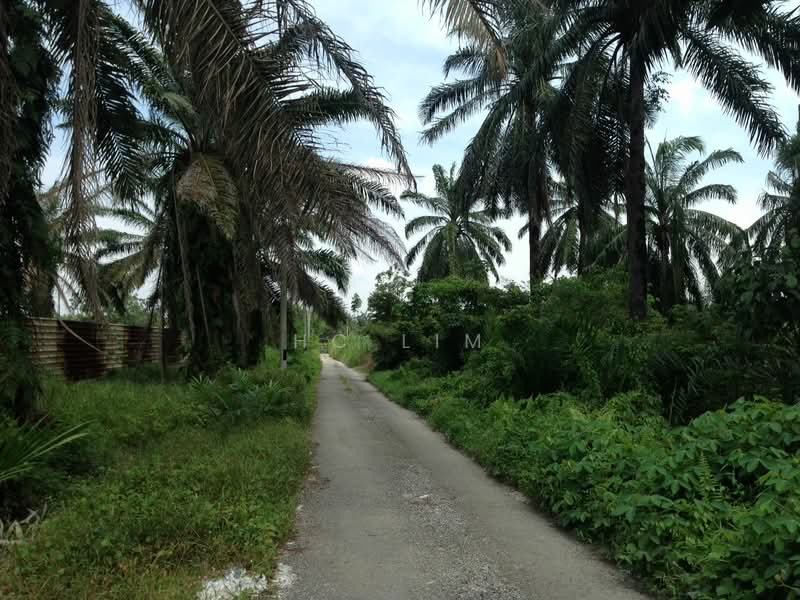Tanah Pertanian untuk Dijual di Ijok (Selangor) - HC Lim - Exterior - PropertyGuru.com.my