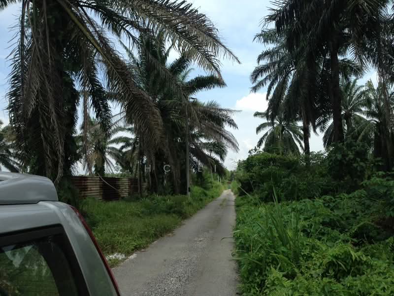 Tanah Pertanian untuk Dijual di Ijok (Selangor) - HC Lim - Exterior - PropertyGuru.com.my