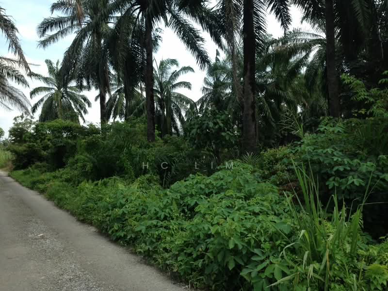 Tanah Pertanian untuk Dijual di Ijok (Selangor) - HC Lim - Exterior - PropertyGuru.com.my