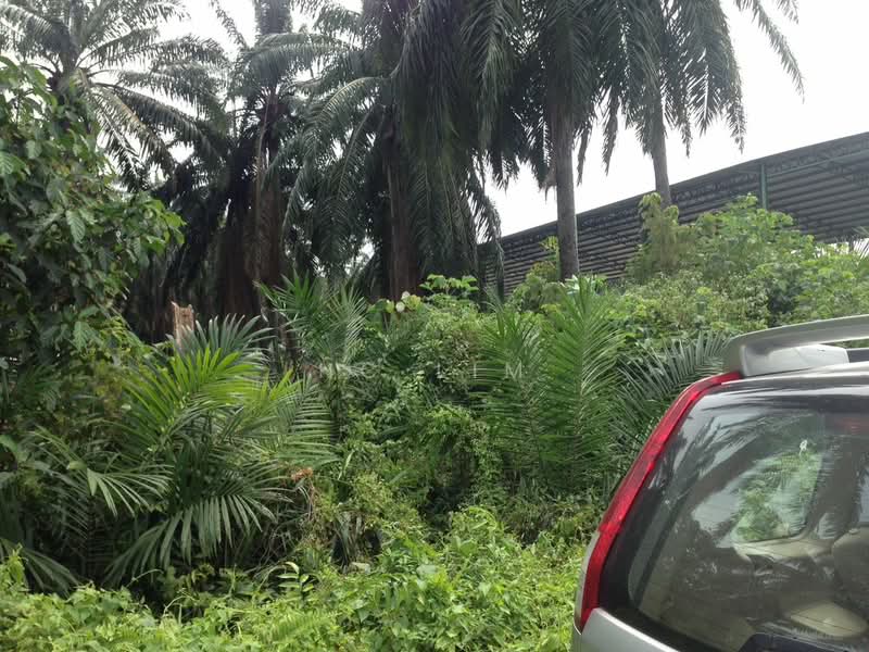 Tanah Pertanian untuk Dijual di Ijok (Selangor) - HC Lim - Exterior - PropertyGuru.com.my