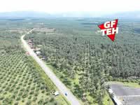 For Sale - 25.67 Acre Main Road | Agricultural Land | Selama | Perak Rm4psf