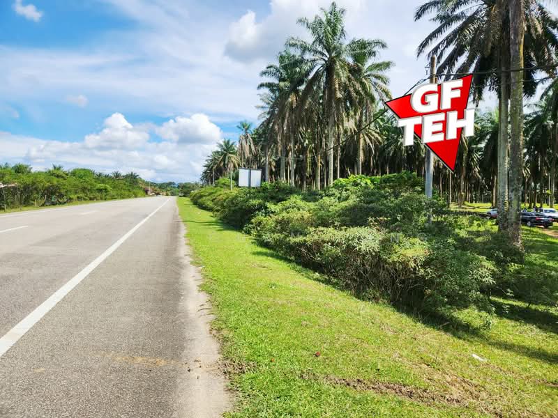Tanah Pertanian untuk Dijual di Selama (Perak) - Teh Guan Fong - Exterior - PropertyGuru.com.my