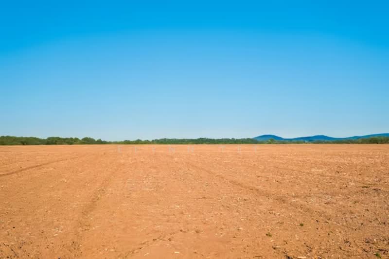 Commercial Land for Sale in Relau (Sungai Ara) - Elynn Tee - PropertyGuru.com.my