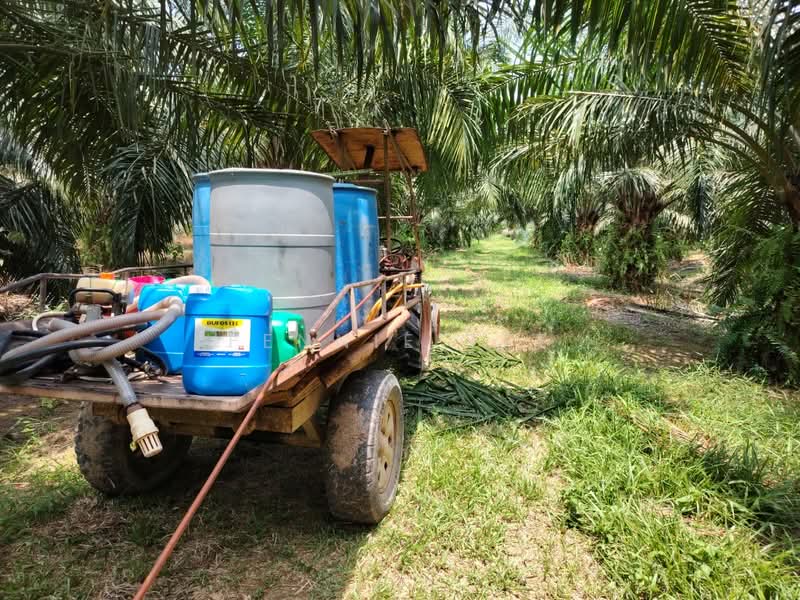 Teluk Intan untuk Untuk Dijual - RM 5,600,000, Apr 2026 - Others - PropertyGuru.com.my