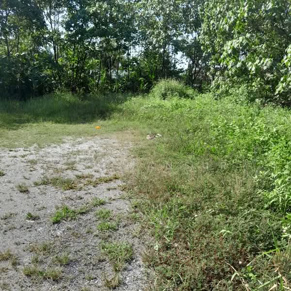 Kampung Paya Jaras Dalam untuk Untuk Dijual - RM 1,000,000, Apr 2026 - Exterior - PropertyGuru.com.my