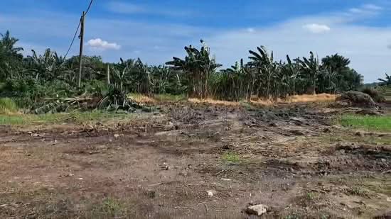 Agricultural Land for Sale in Pasir Gudang (Johor) - June Tan - PropertyGuru.com.my