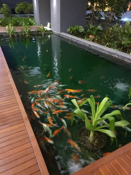 Star Residences Two untuk Untuk Disewa - RM 12,000 /bulan, Apr 2026 - Exterior - PropertyGuru.com.my