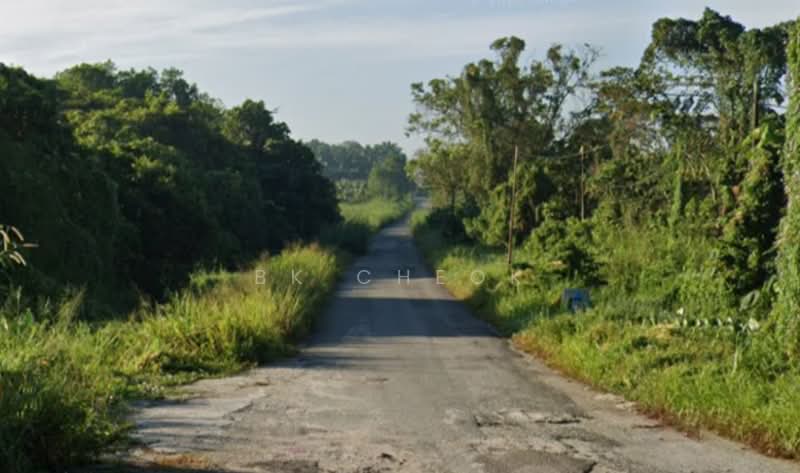 Agricultural Land for Sale in Pekan Nenas (Johor) - BK Cheok - Exterior - PropertyGuru.com.my