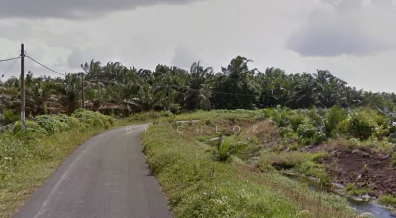 Agricultural Land for Sale in Pekan Nenas (Johor) - BK Cheok - Exterior - PropertyGuru.com.my