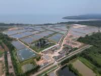 For Sale - Batu Pahat Mukim Minyak Beku Aquaculture Land