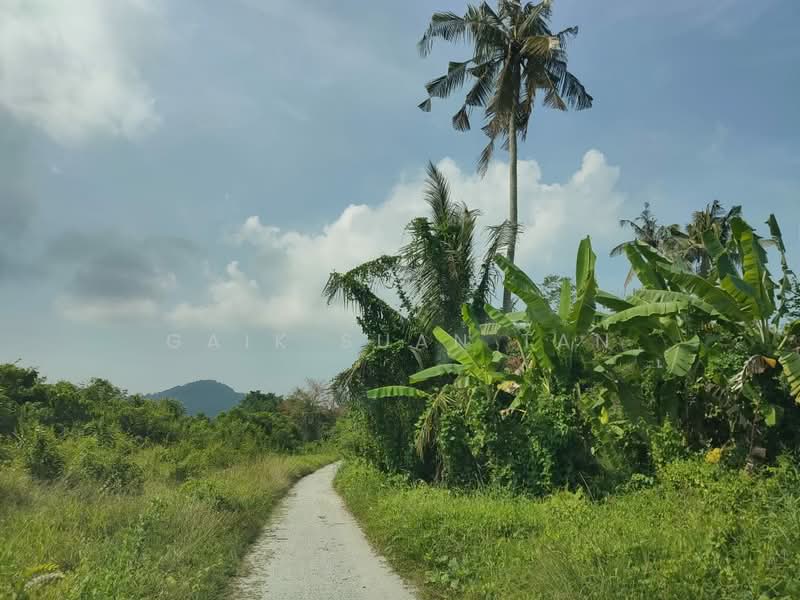 Tanah Pertanian untuk Dijual di Sungai Rusa (Balik Pulau) - Gaik Suan Tan - Exterior - PropertyGuru.com.my