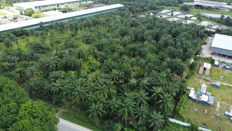 Industrial Land for Sale in Kapar (Selangor) - Queenie Hwa Lee Soo Hwa - Exterior - PropertyGuru.com.my