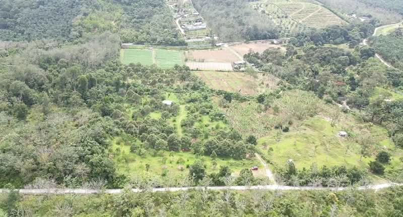 Agricultural Land for Sale in Pedas (Negeri Sembilan) - Kang Hai Tee - Exterior - PropertyGuru.com.my