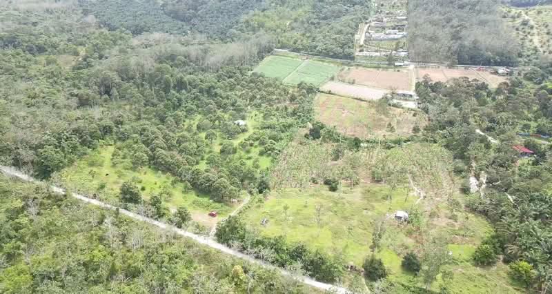 Agricultural Land for Sale in Pedas (Negeri Sembilan) - Kang Hai Tee - Exterior - PropertyGuru.com.my