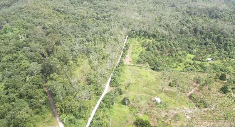 Agricultural Land for Sale in Pedas (Negeri Sembilan) - Kang Hai Tee - Exterior - PropertyGuru.com.my