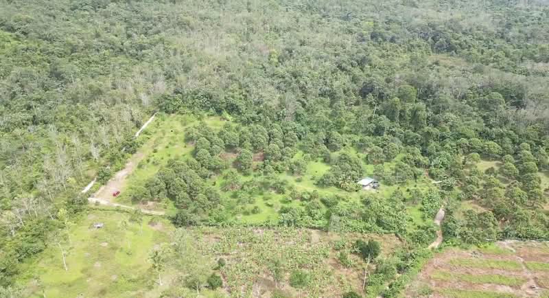 Agricultural Land for Sale in Pedas (Negeri Sembilan) - Kang Hai Tee - Exterior - PropertyGuru.com.my
