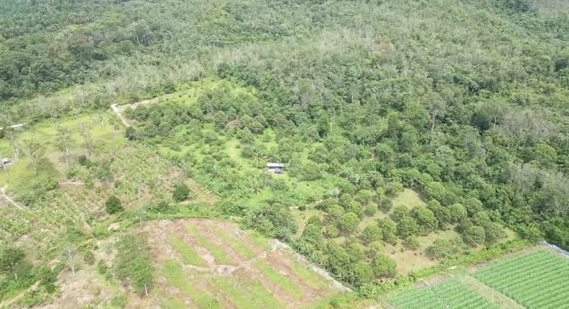 Agricultural Land for Sale in Pedas (Negeri Sembilan) - Kang Hai Tee - Exterior - PropertyGuru.com.my