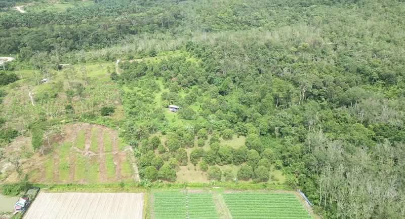 Agricultural Land for Sale in Pedas (Negeri Sembilan) - Kang Hai Tee - Exterior - PropertyGuru.com.my