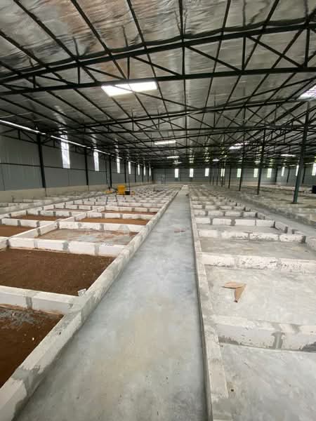 Agricultural Land for Rent in Semenyih (Selangor) - Abby Tan - Interior - PropertyGuru.com.my