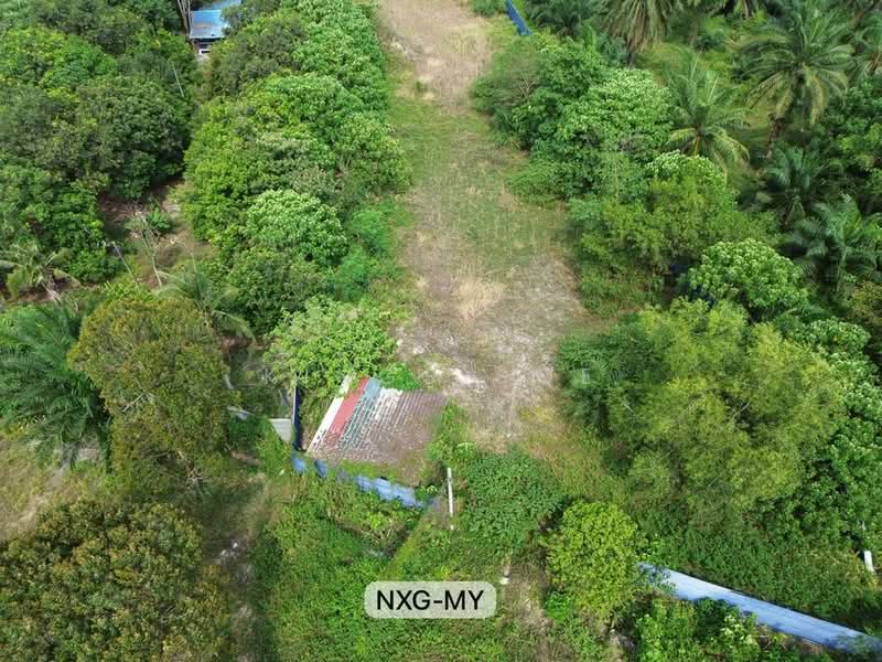 Agricultural Land for Rent in Telok Panglima Garang (Selangor) - Kings Soe - Exterior - PropertyGuru.com.my
