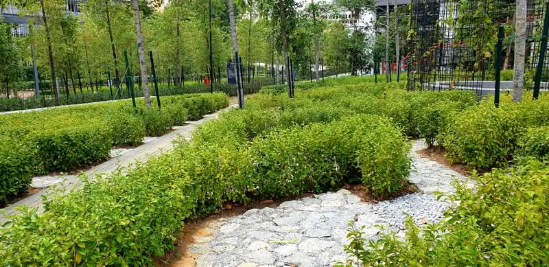 Condominium for Sale at Sunway GeoLake Residences - Lee Su Li - Garden - PropertyGuru.com.my