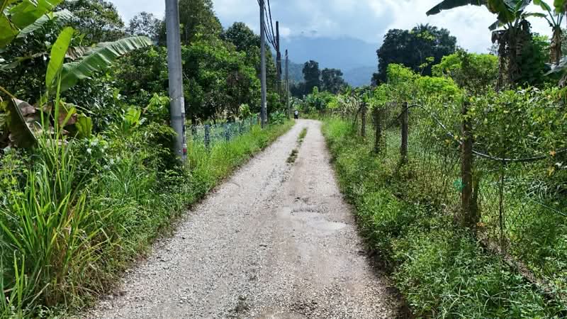 Agricultural Land for Sale in Batang Kali (Selangor) - Iz Hakim - Exterior - PropertyGuru.com.my