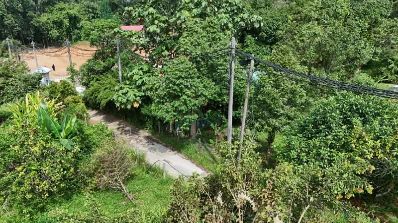 Agricultural Land for Sale in Batang Kali (Selangor) - Iz Hakim - PropertyGuru.com.my