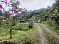 For Rent - Cameron Fair Serviced Suites @ Tanah Rata