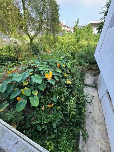 Semi-Detached House for Rent in Taman Pelangi (Johor Bahru) - Johnson Chong - Garden - PropertyGuru.com.my