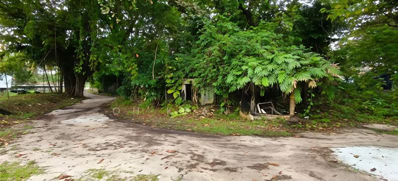 Tanah Komersial untuk Dijual di Tanjung Bungah (Penang) - Oh Kean Li - PropertyGuru.com.my