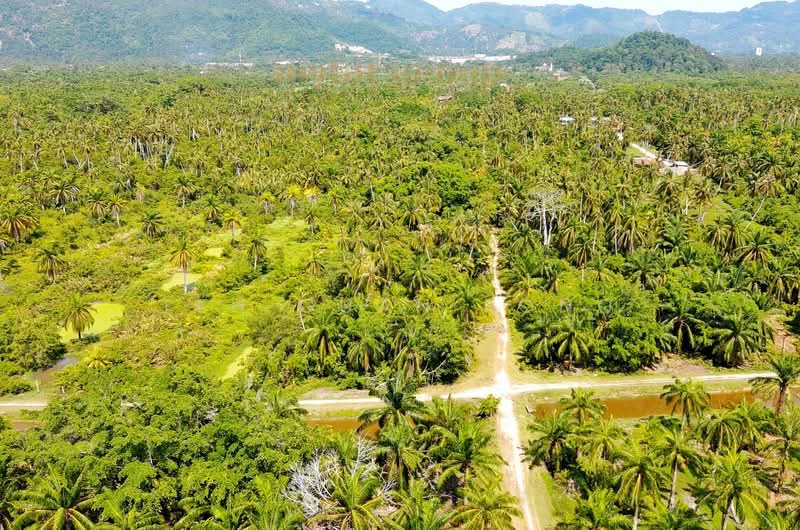 Tanah Pertanian untuk Dijual di Balik Pulau (Penang) - Teh Guan Fong - Exterior - PropertyGuru.com.my