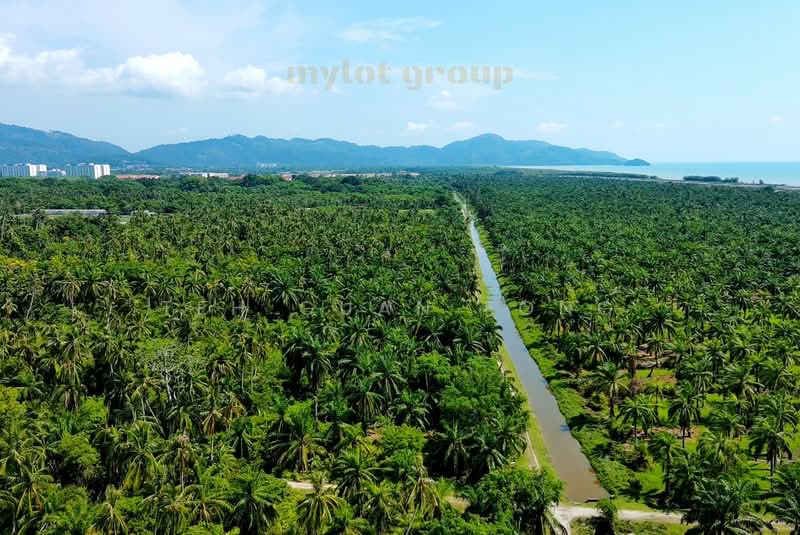 Tanah Pertanian untuk Dijual di Balik Pulau (Penang) - Teh Guan Fong - Exterior - PropertyGuru.com.my