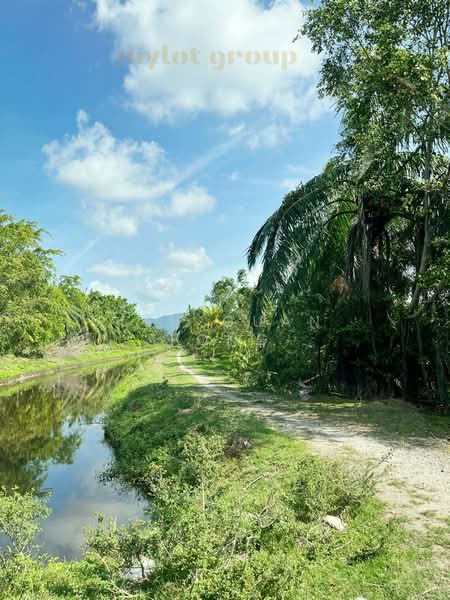 Tanah Pertanian untuk Dijual di Balik Pulau (Penang) - Teh Guan Fong - Exterior - PropertyGuru.com.my