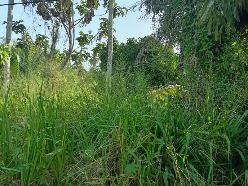Tanah Pertanian untuk Dijual di Bukit Minyak (Penang) - Yee Choi Hong - Garden - PropertyGuru.com.my